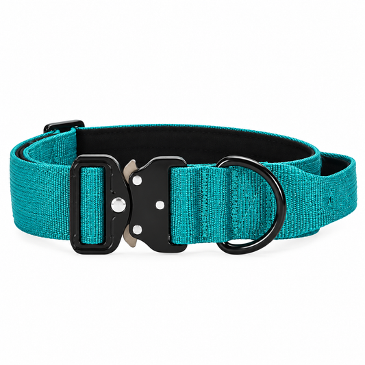 Teal Green Nylon Tactical Heavy Duty Dog Collar