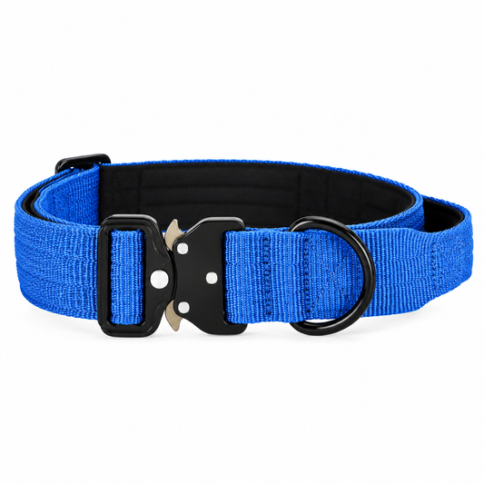 Blue Nylon Tactical Heavy Duty Dog Collar