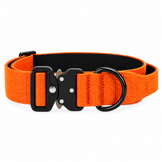 Orange Nylon Tactical Heavy Duty Dog Collar