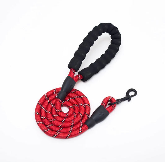 Red Nylon Reflective Rope Dog Training Lead